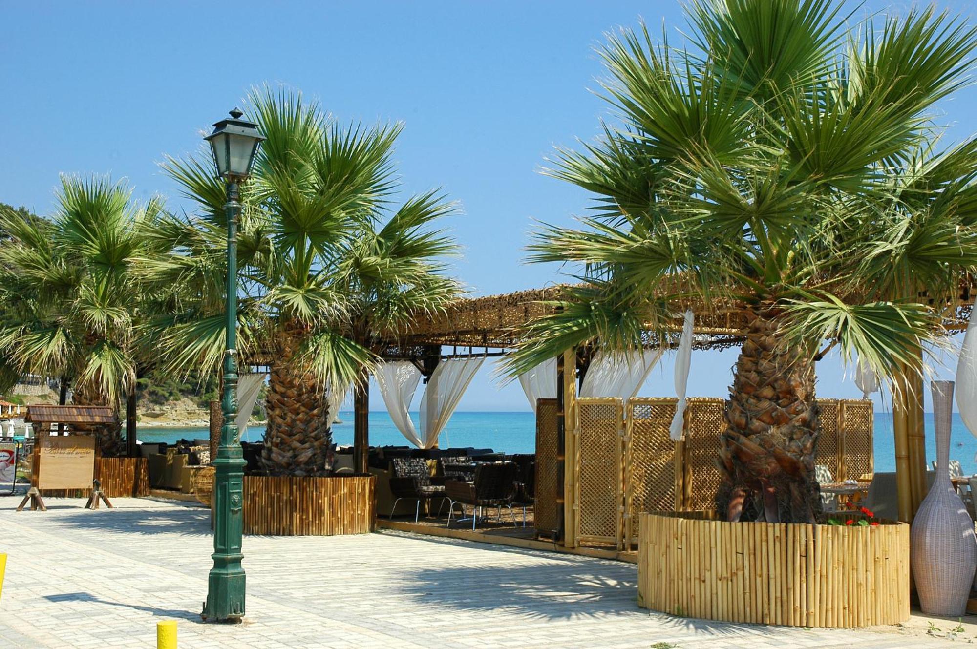Xenios Possidi Paradise Hotel Ngoại thất bức ảnh